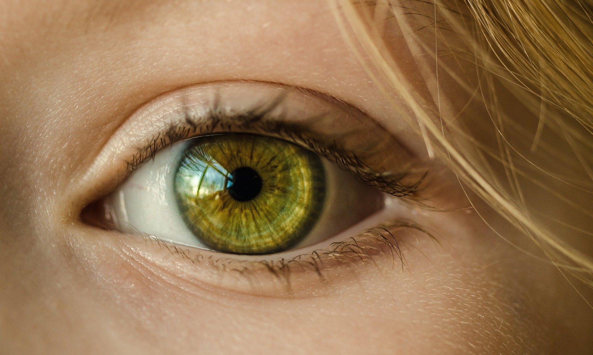 How Lutein and Zeaxanthin Can Be Beneficial For Your Eye Health