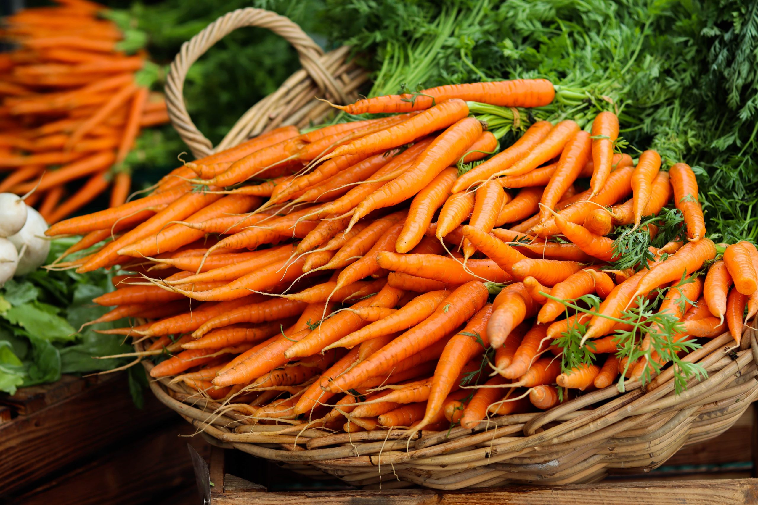 Benefits of Antioxidant Beta Carotene